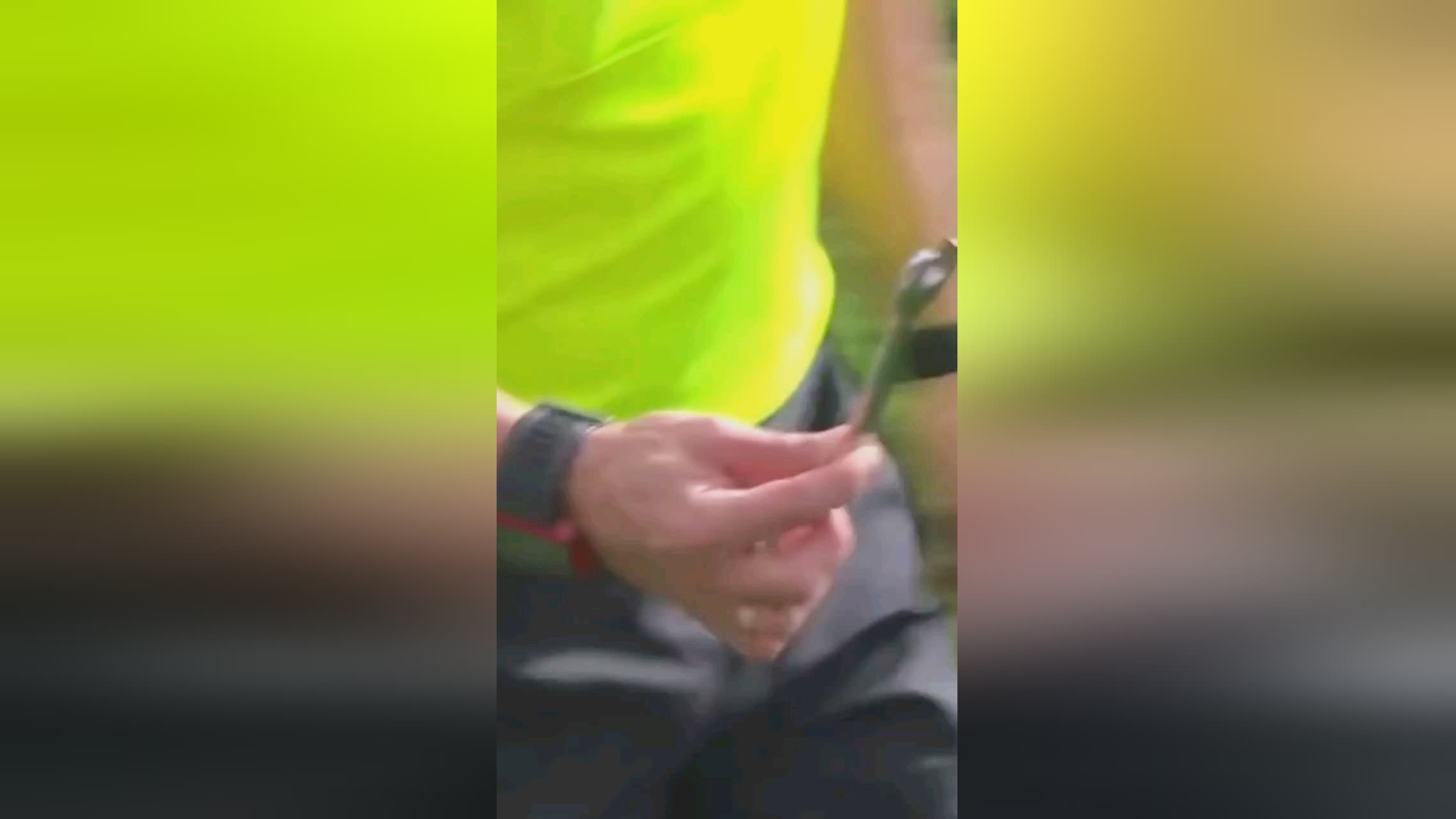 新的